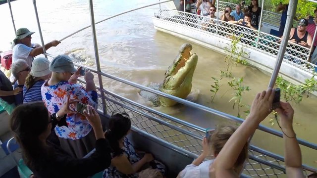 Ces touristes vont rencontrer le plus gros crocodile de la region : dominator
