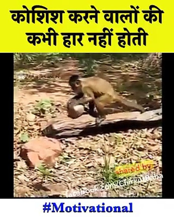 कोशिश करने वालों की कभी हार नहीं होती