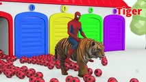 Learn Colors Animals Name and Sounds w Spiderman Wrong Key for Kids| Spiderman Ride Wild Animals