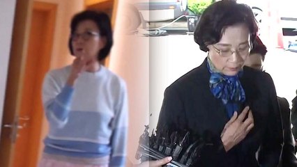 욕은 했지만 때리지는 않았다?...한진일가, 혐의 부인에 모르쇠 일관 / YTN