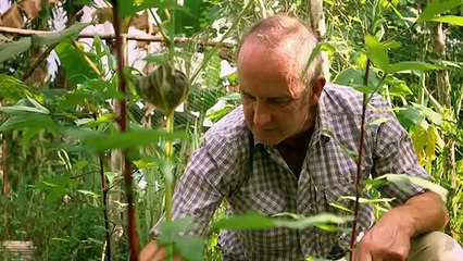 Kevin Mcclouds Escape To The Wild S01 E03