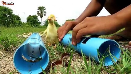 The_First_Primitive_DIY_Creative_Snake_Trap_Using​_Bamboo_Branches_PVC_Pipe_That