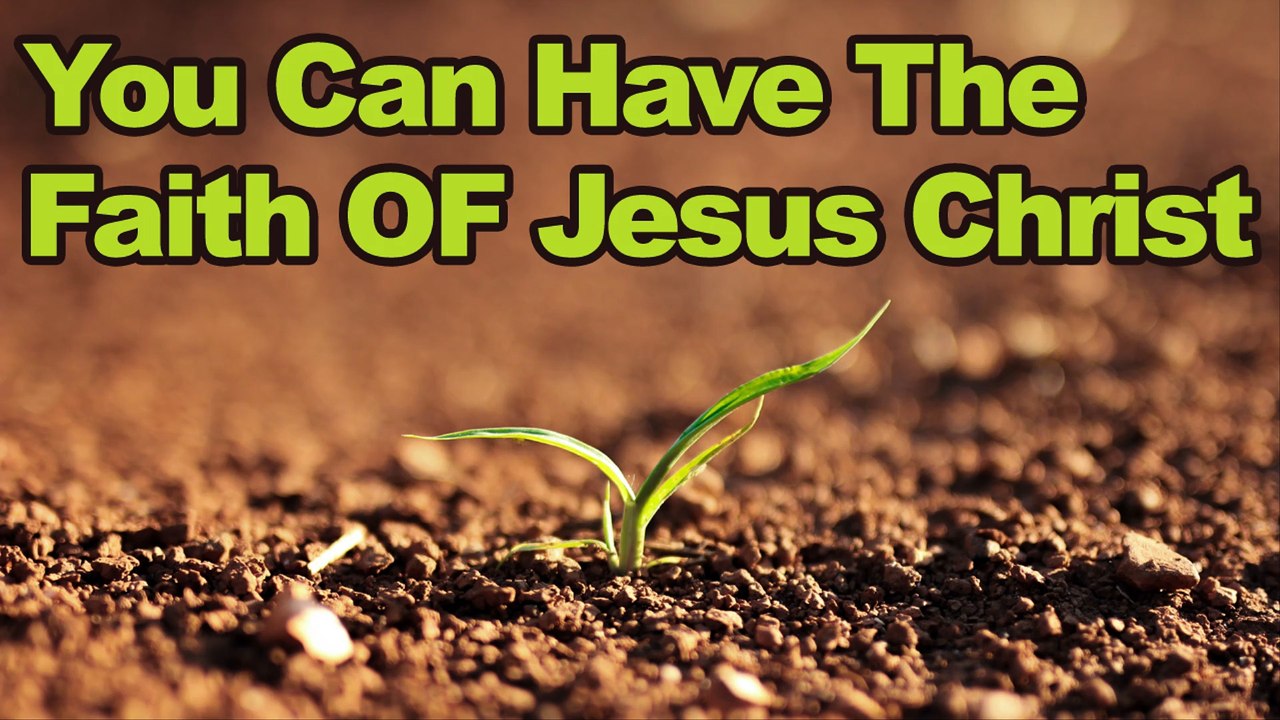 The Faith OF Christ