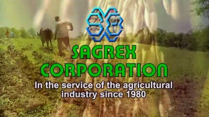 How to Cure Sick Soil