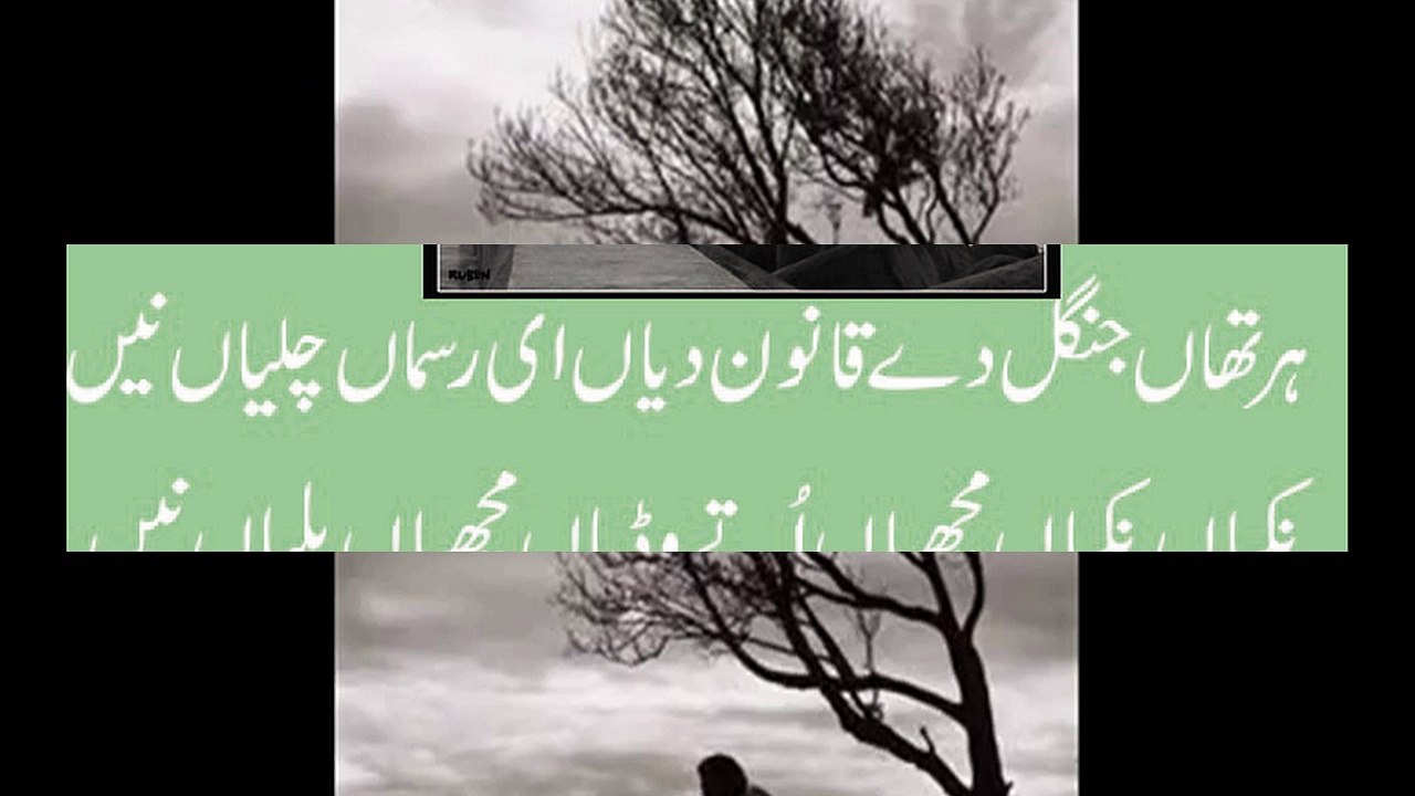 punjabi sad poetry vioce waqas pannu