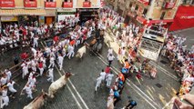 Los toros de Miura llegan a la Plaza del Ayuntamiento