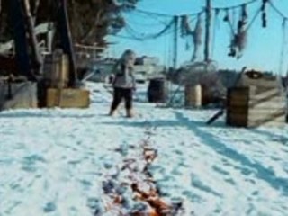 Rare Exports II: Safety Instructions