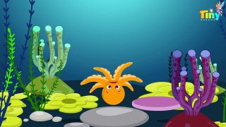 Five Little Octopus Jumping On The Bed | Nursery Rhymes and Songs For Children | TinyDreams Kids