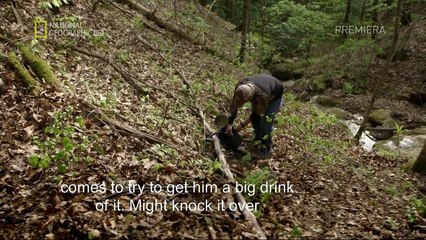 Przestępczość Sp. z o.o. – Awantury o Bimber, Lektor PL