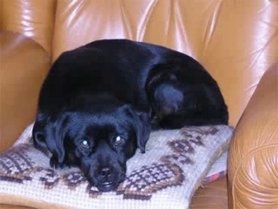 Video 104