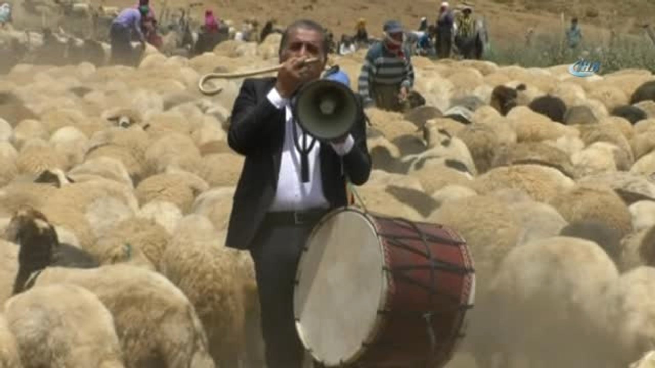 Koyuna Duvak, Koça Papyon Taktılar...ak Koyun ile Kara Koça Davul Zurnalı Düğün