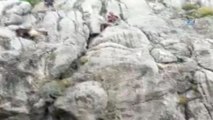 Kayalıklarda Mahsur Kalan Keçileri İtfaiye Kurtardı