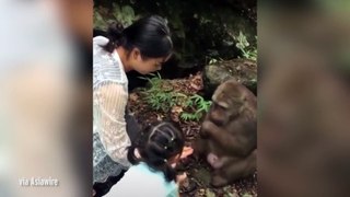Shocking moment monkey PUNCHES little girl in the face knocking her to the floor