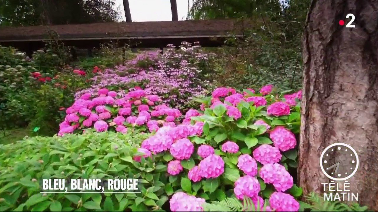 Jardin - Bleu, blanc, rouge