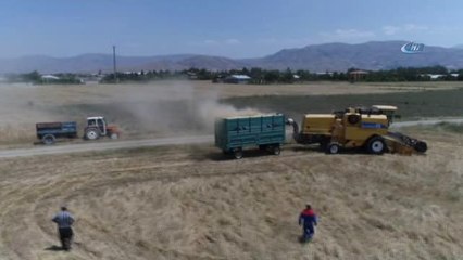 Elazığ'da 1 Milyon Dekar Alanda Hububat Hasadı