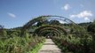 Jardin d'Exception : Découvrez la Fondation Claude Monet