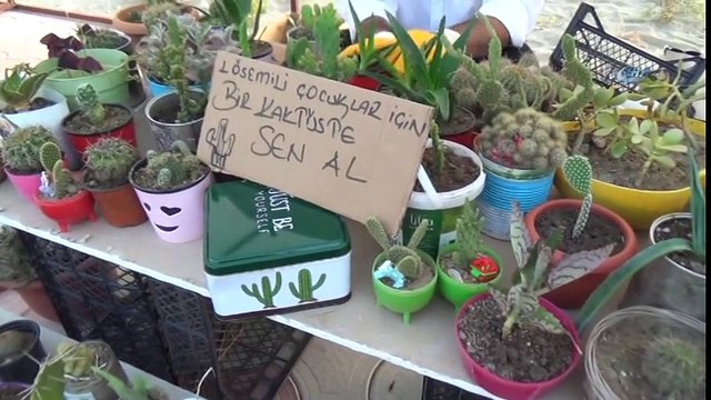 Lösemili Çocuklar İçin Kaktüs Satıyorlar