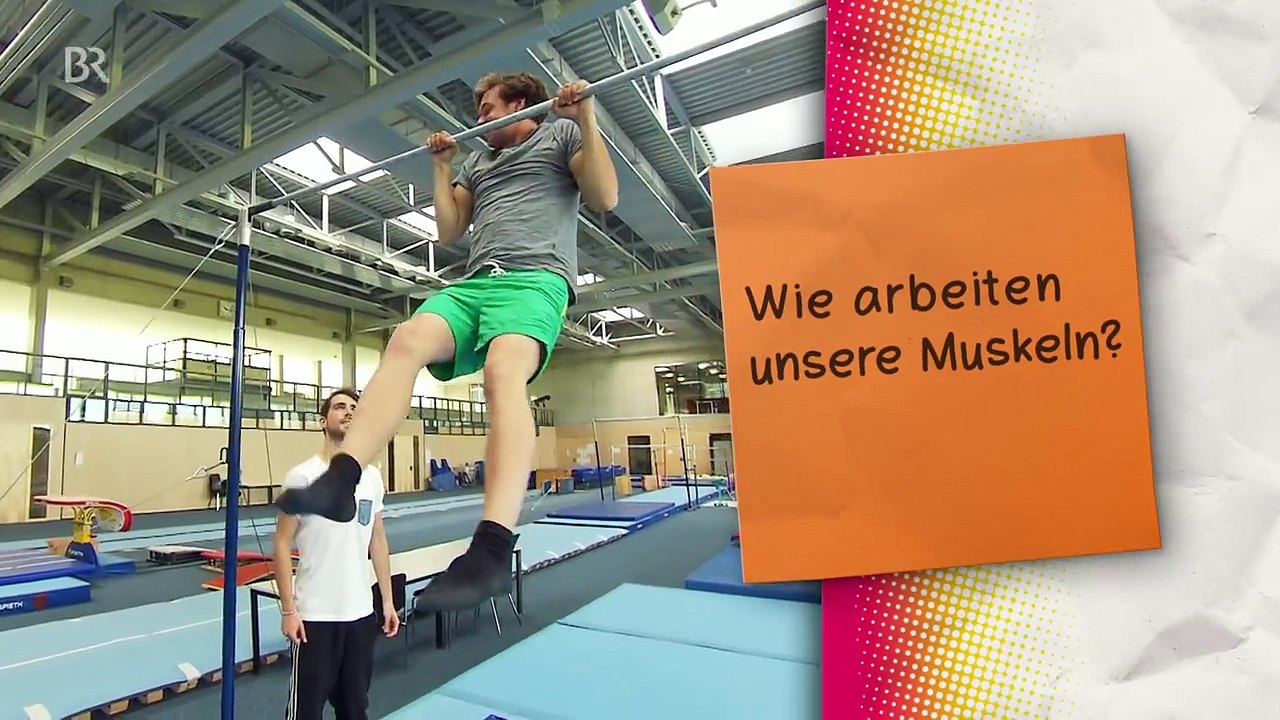 Der Body-Check | Reportage für Kinder | Checker Tobi - video Dailymotion
