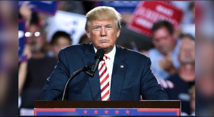 GOODLINES: 13th July 2018