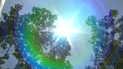 온열 질환 속출...올해만 벌써 3명 사망 / YTN