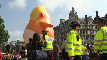 'Trump baby' takes flight over London's Parliament Square
