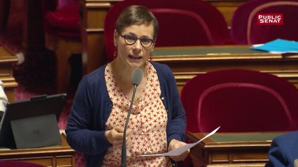 Assurance chômage : Sophie Taillé-Polian (PS) dénonce la « cohérence extrêmement libérale » de Macron