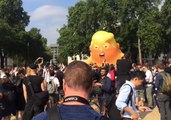 Trump Baby Balloon Prepares for Lift-Off in London