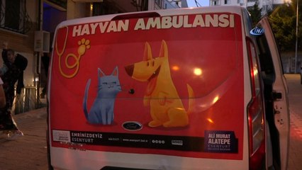 Evde aç ve susuz kalan kediyi belediye ekipleri kurtardı