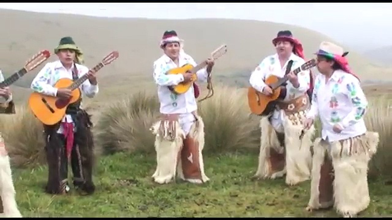 SALTADITO MOVIDITO