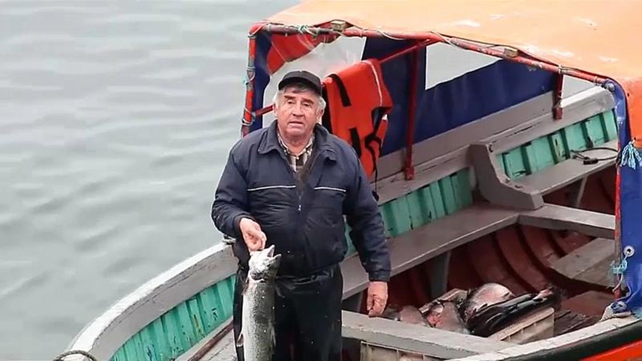 Chile: fischer jagen ausgebüxte lachse