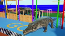 Learn Colors With Animals for Kids - Colours With Animals Racing and Fruits for Children
