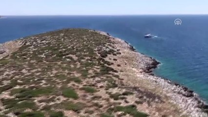 Adada Mahsur Kalan Kaçaklar İçin Kurtarma Operasyonu (2)