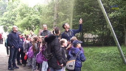 magazine voyage pairi daiza