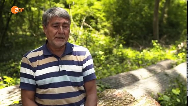 Terra X Geschichte der Tiere Der Hund