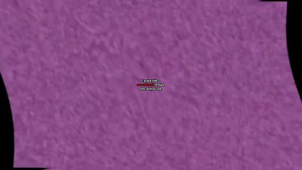 (MY NEW EFFECT) Klasky Csupo in G Major 570