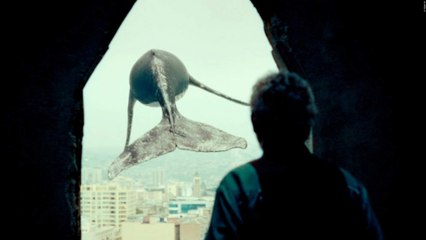 LOS VERSOS DEL OLVIDO Trailer German Deutsch (2018) HD