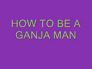 How to Build Your Own Indoor Marijuana Grow Room A Start to Finish Guide 1 of 4