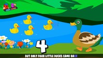 Five Little Ducks | Five Little Ducks Nursery Rhyme | Songs with Lyrics