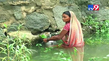 Chhotaudaipur : Jojwa village people risk their lives to fetch water- Tv9 Gujarati