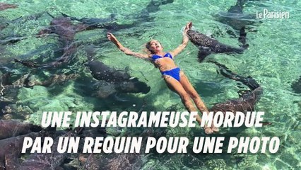 Une Instagrameuse mordue par un requin pour une photo