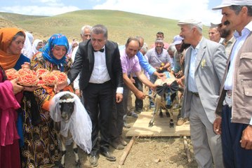 Ak Koyun ile Kara Koça Davul Zurnalı Düğün