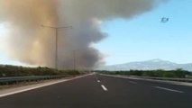 İzmir'de Orman Yangını... İzmir'de Başlayan Yangın Büyüyor