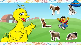 Sesame Street Game Video - Journey To Ernie - PBS Game Videos