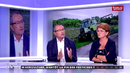 Régulation des pesticides : "c'est au niveau européen qu'on doit prendre les décisions qui nous permettraient d'amoindrir les effets économiques" pour Henri Cabanel #UMED