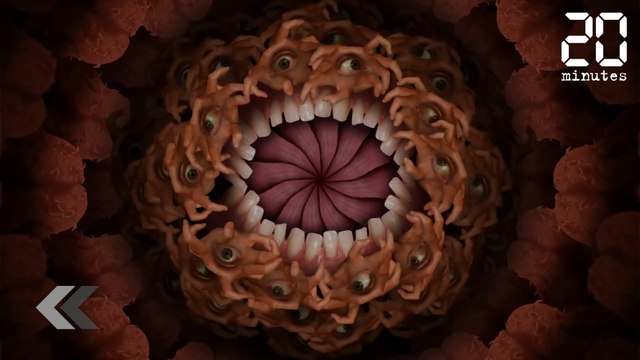 Un dessin animé très étrange - Le Rewind du Vendredi 13 Juillet 2018