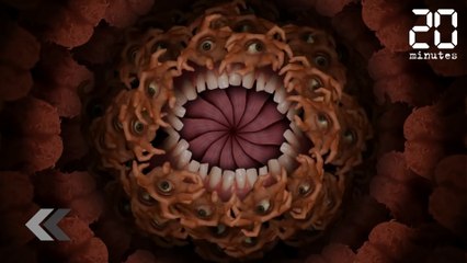 Un dessin animé très étrange - Le Rewind du Vendredi 13 Juillet 2018