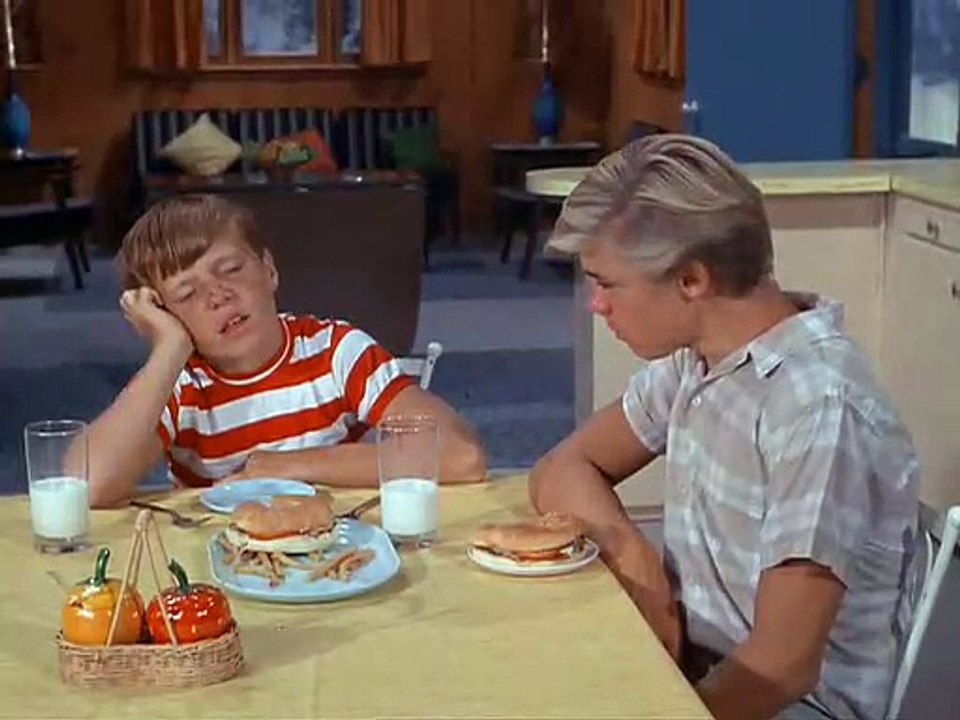 Flipper ( 1964 )  S01E13