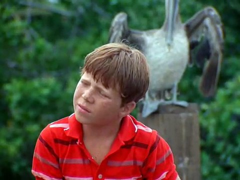 Flipper ( 1964 ) S01E06