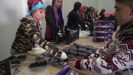 Batman Batman Böğürtleni Avrupa ve Uzakdoğu'ya Gönderildi - Ek Görüntüler