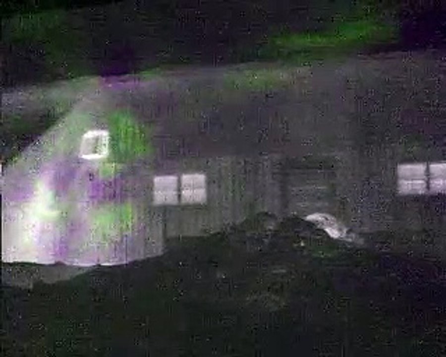 Cows' methane emissions made visible